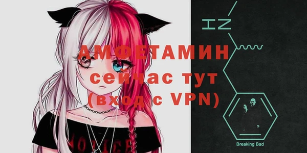 мдпв Магас