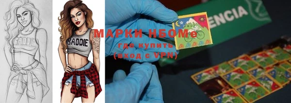 хмурый Липки
