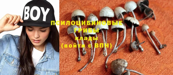 дмт Магадан