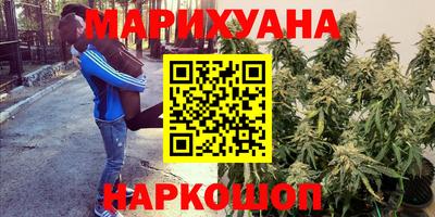 мдпв Жуковский