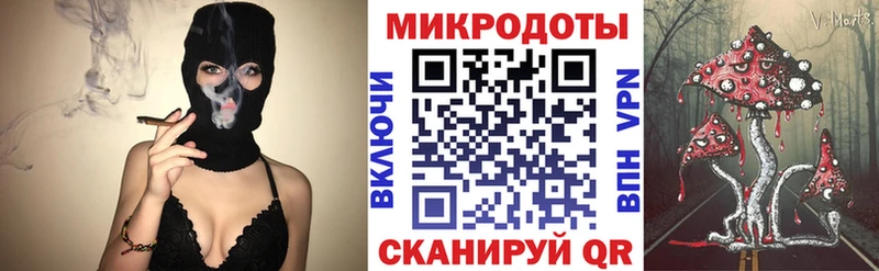 цены   Таганрог  Псилоцибиновые грибы Cubensis 