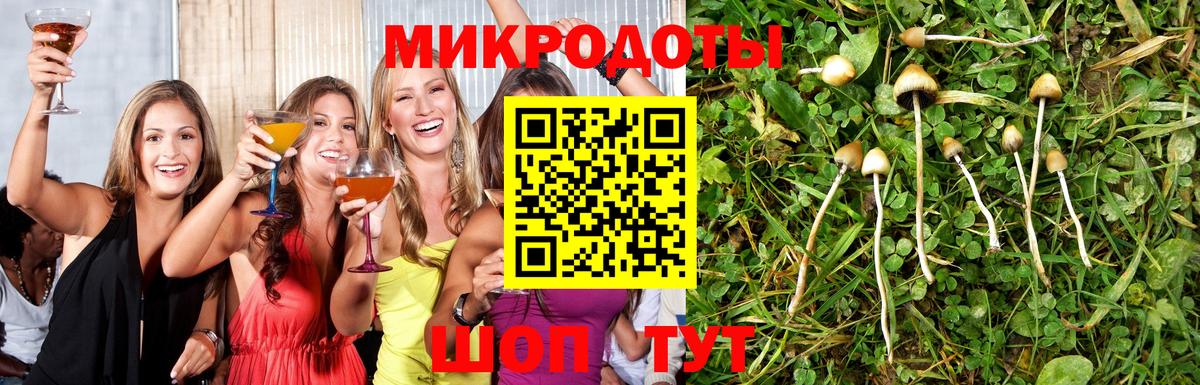 Псилоцибиновые грибы прущие грибы Таганрог
