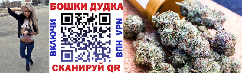 Конопля OG Kush Таганрог